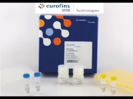 德国Eurofins 欧陆 BACGene 食品病原菌实时荧光 PCR 试剂盒