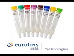 德国Eurofins 欧陆 SENSIColumn 维生素免疫亲和柱