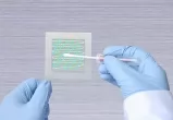 SENGE™ 一次性无菌规格板