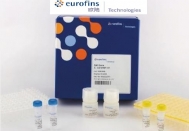 德国Eurofins 欧陆 BACGene 食品病原菌实时荧光 PCR 试剂盒