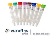 德国Eurofins 欧陆 SENSIColumn 维生素免疫亲和柱